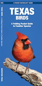 Texas Birds